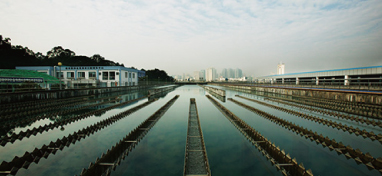 兩會(huì)聲音：城市“新洼地”之痛 如何補(bǔ)齊城市地下管網(wǎng)短板？